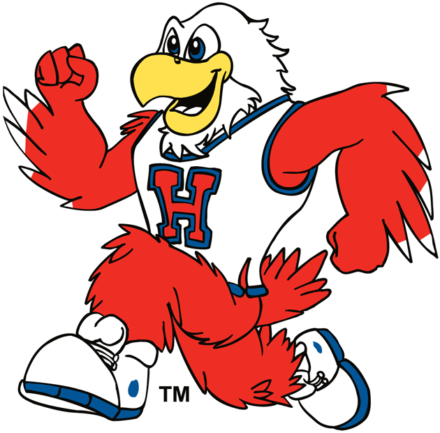 Hartford Hawks 1984-Pres Mascot Logo diy iron on heat transfer